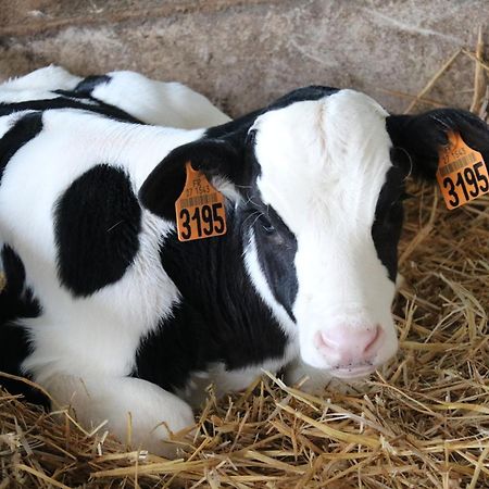 Le Thuit - F2 Plain Pied Tout Equipe A La Ferme Charleval  Bagian luar foto