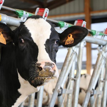 Le Thuit - F2 Plain Pied Tout Equipe A La Ferme Charleval  Bagian luar foto
