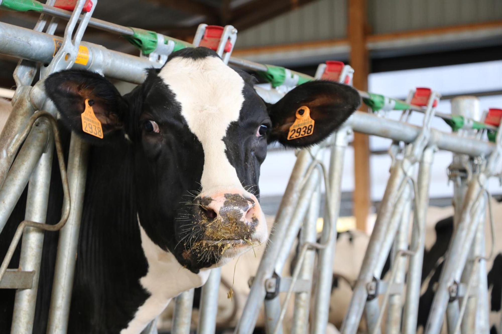 Le Thuit - F2 Plain Pied Tout Equipe A La Ferme Charleval  Bagian luar foto