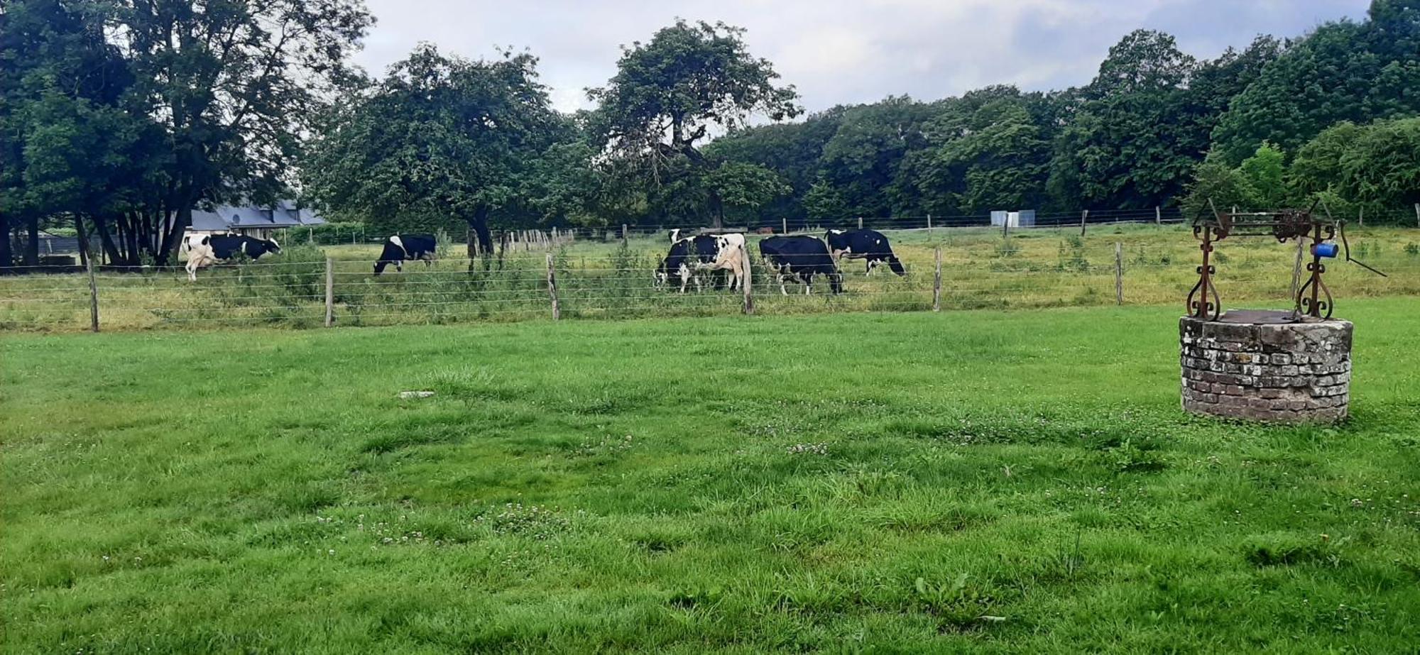 Le Thuit - F2 Plain Pied Tout Equipe A La Ferme Charleval  Bagian luar foto